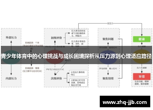 青少年体育中的心理挑战与成长困境探析从压力源到心理适应路径